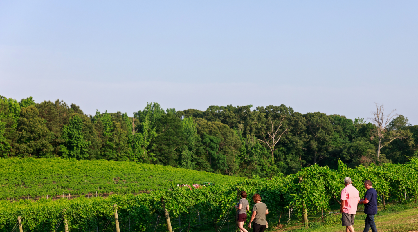 People visiting Winery on a warm day