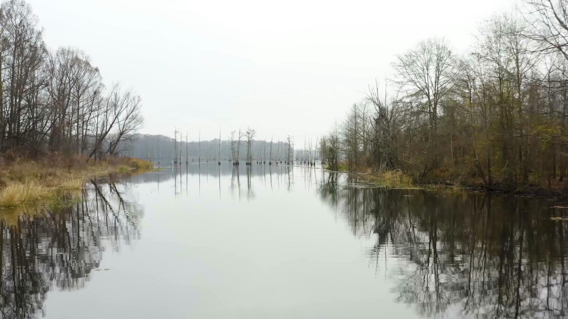 Fishing at Black Bayou