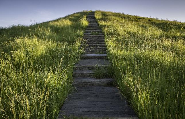Poverty Point Mound Near Monroe, LA