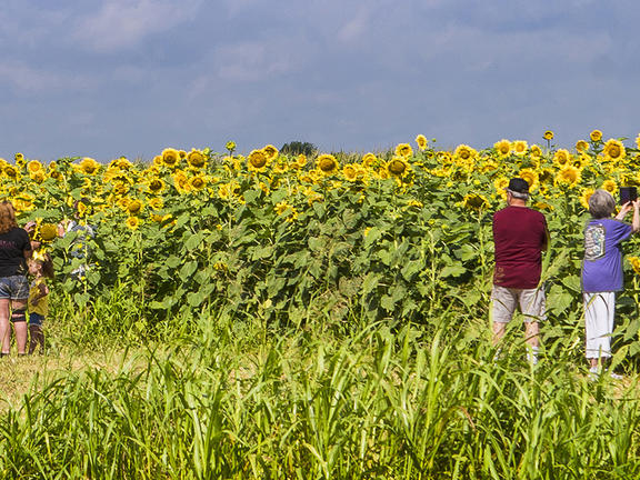 Farms &amp; Orchards