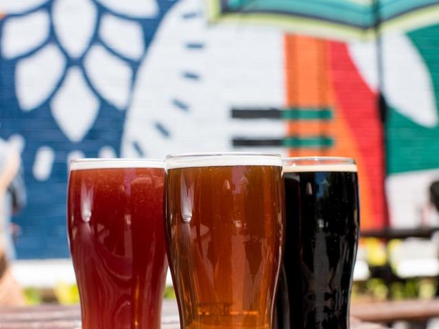 Utility Brewing Co. Photo 4