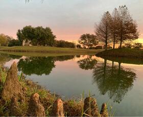 The Island in Plaquemine