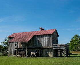 Frogmore Plantation Cotton Gin
