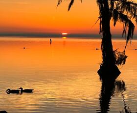Atchafalaya Basin, Morgan City Louisiana