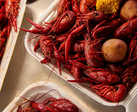 Boiled Crawfish