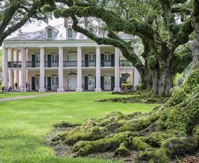Grand plantation house framed by moss-covered oak trees and lush green lawn.
